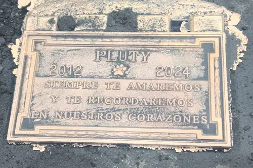 A bronze plaque on the ground reads: "PLUTY 2012–2024. Siempre te amaremos y te recordaremos en nuestros corazones," with a small paw print decoration.